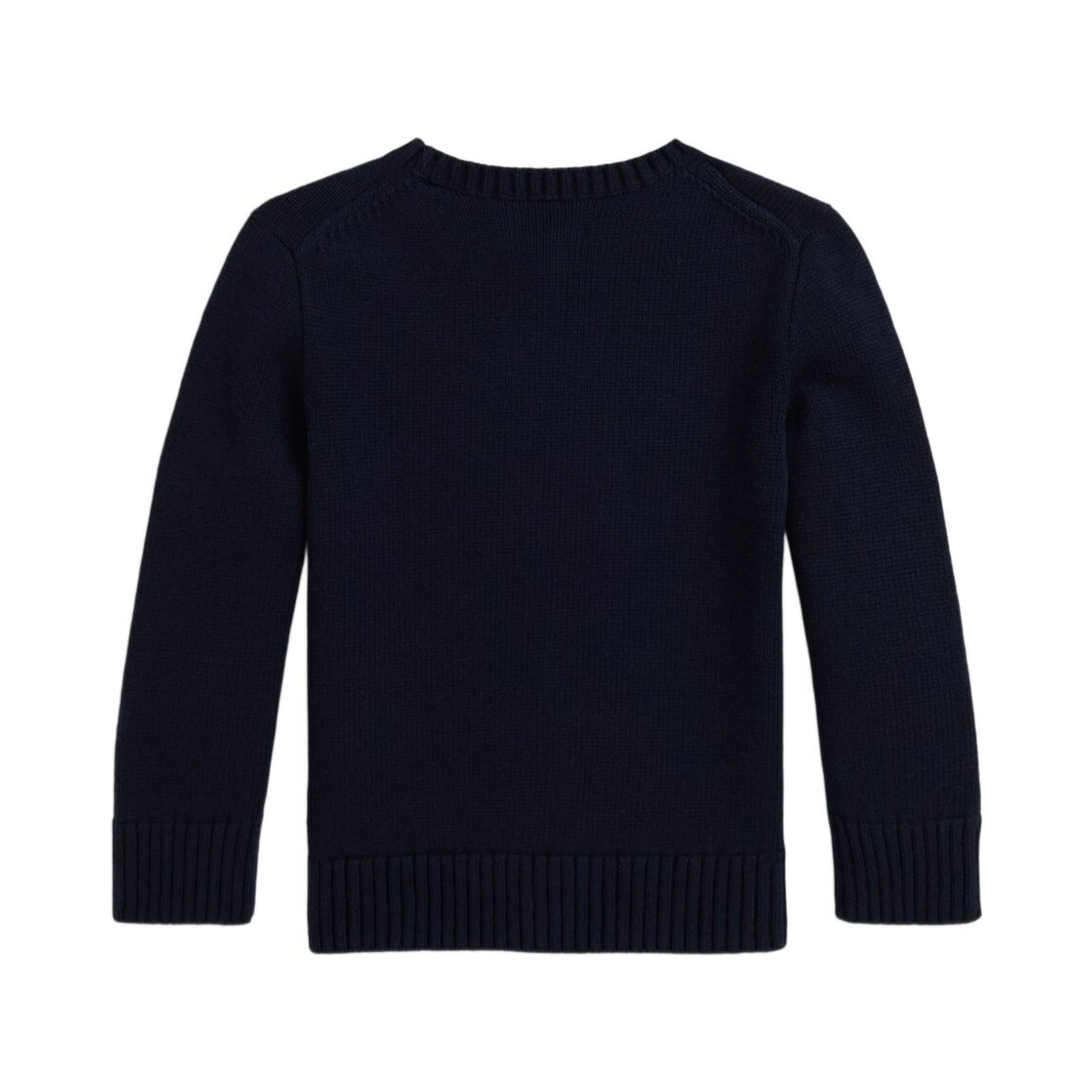 Blue Crew Neck Sweater with Embroidery on the Front in Cotton Boy