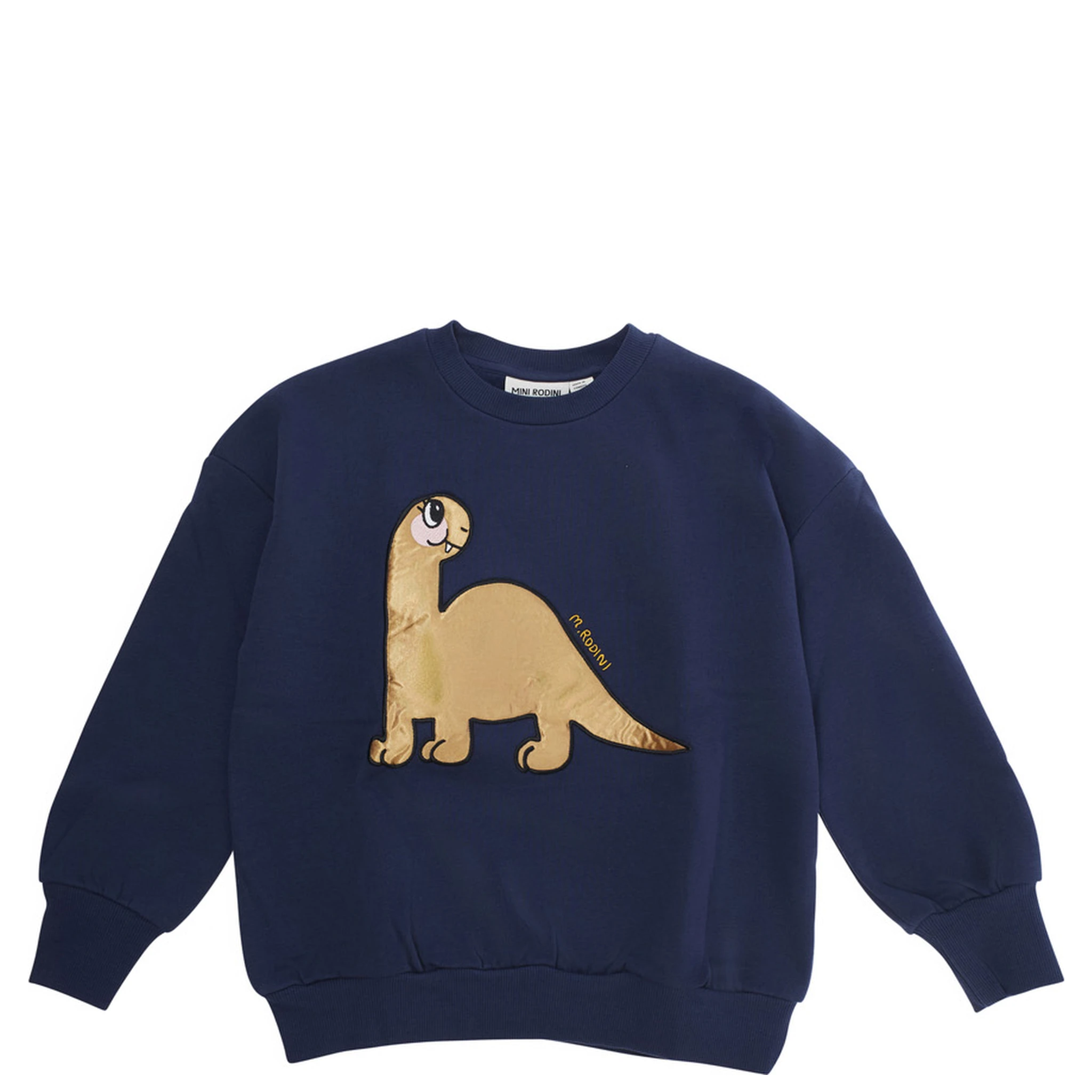 Blue Sweatshirt with Dino Patch on the Front in Cotton Boy