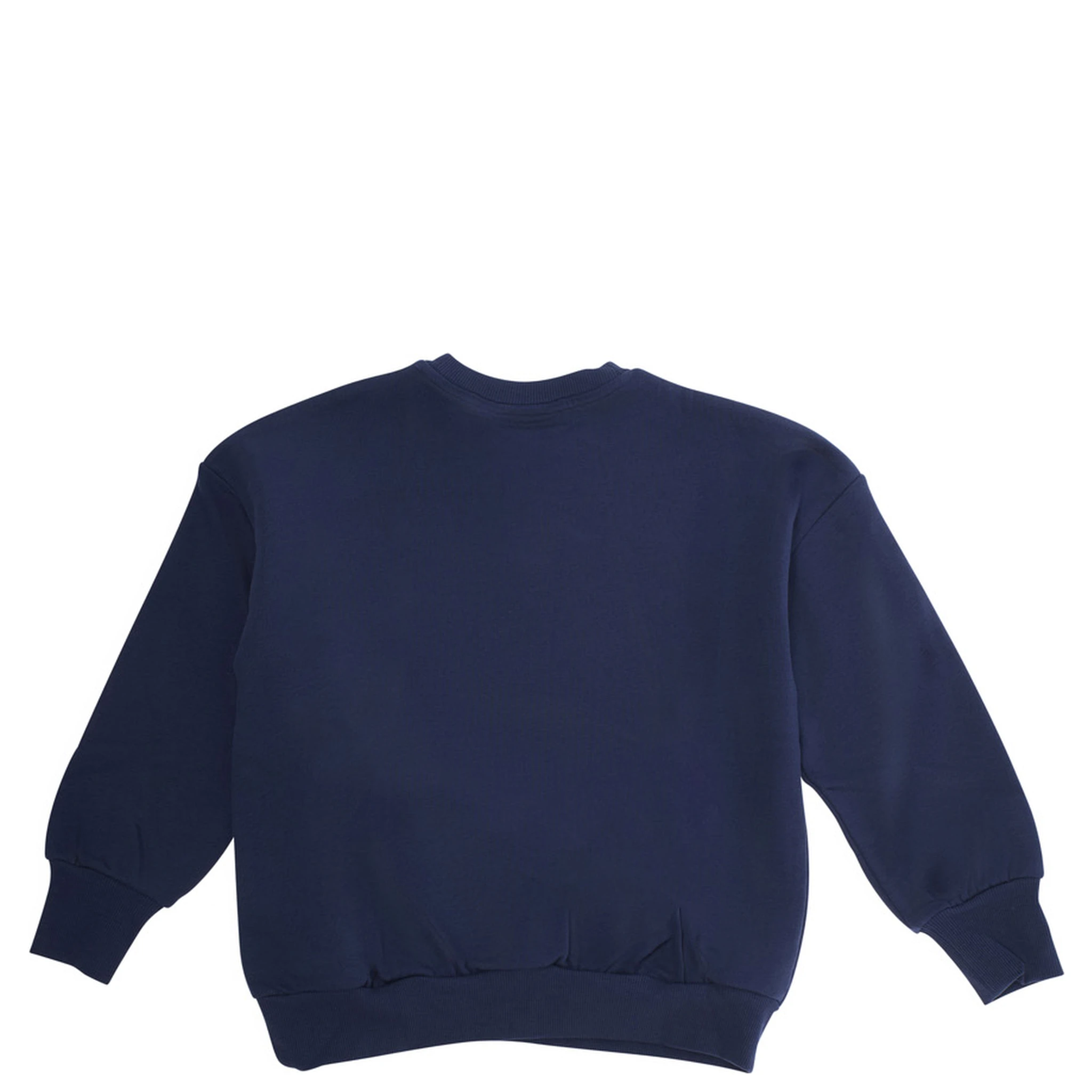 Blue Sweatshirt with Dino Patch on the Front in Cotton Boy