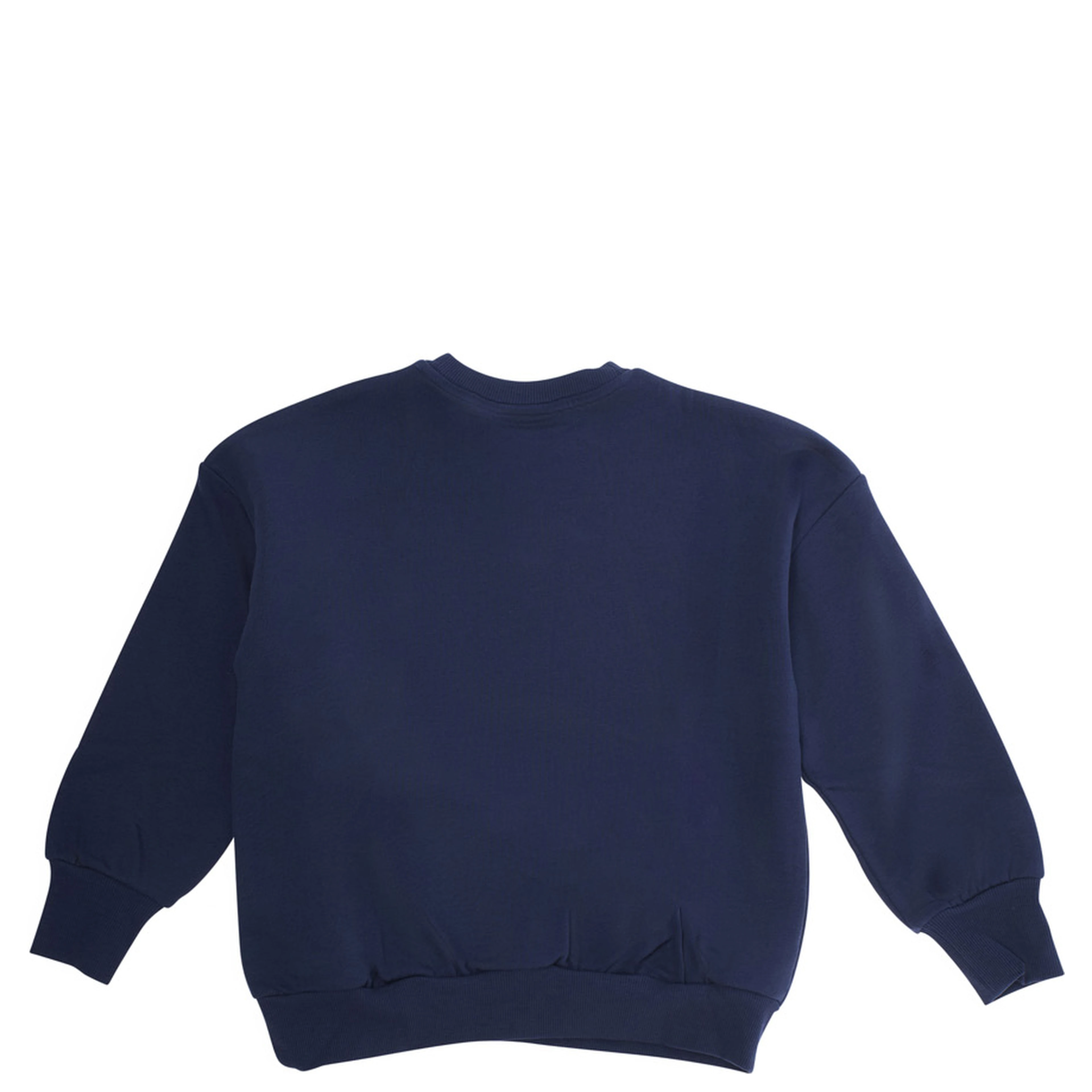 Blue Sweatshirt with Dino Patch on the Front in Cotton Boy