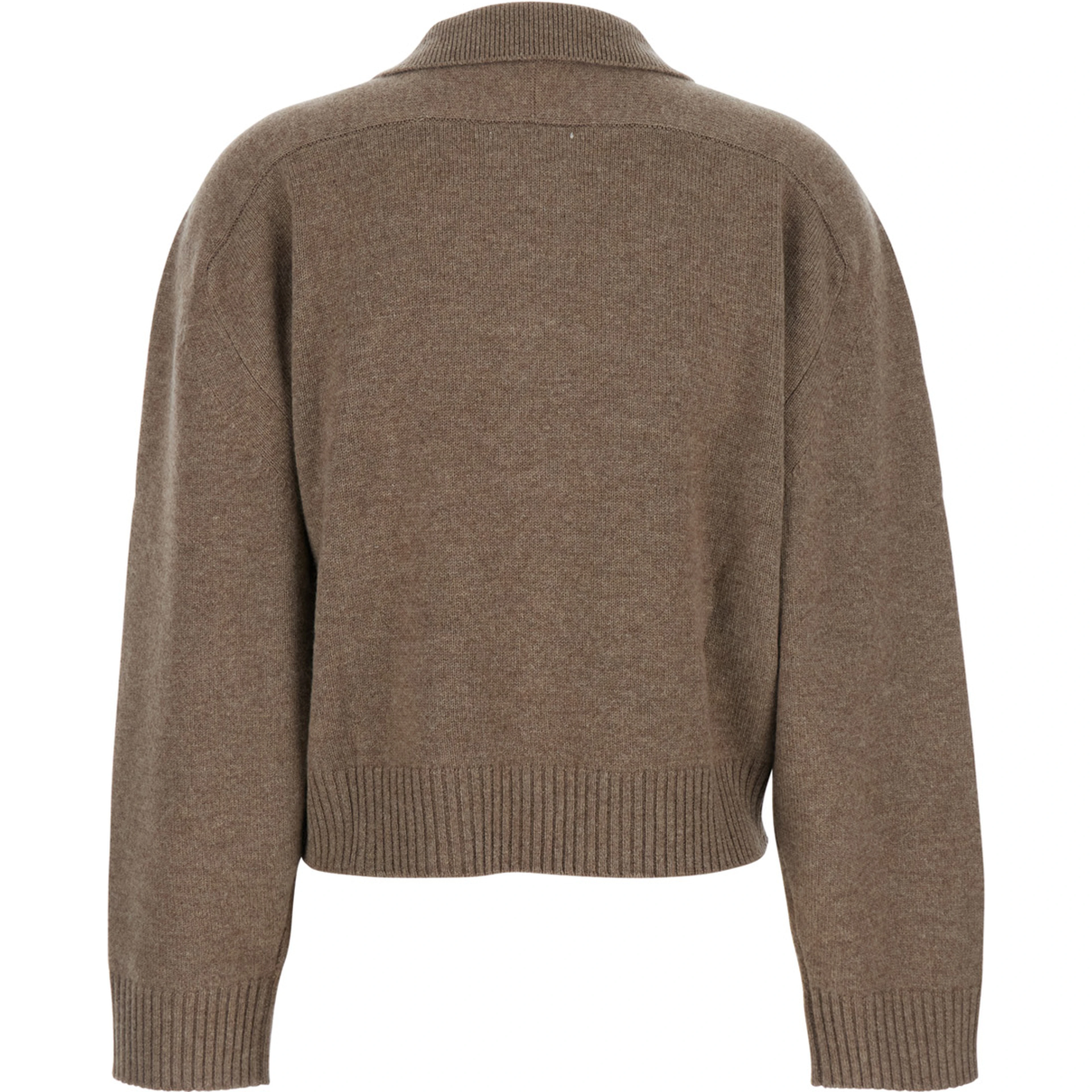 Brown Polo Shirt Style Sweater with Classic Collar and Ribbed Trims in Cashmere Woman