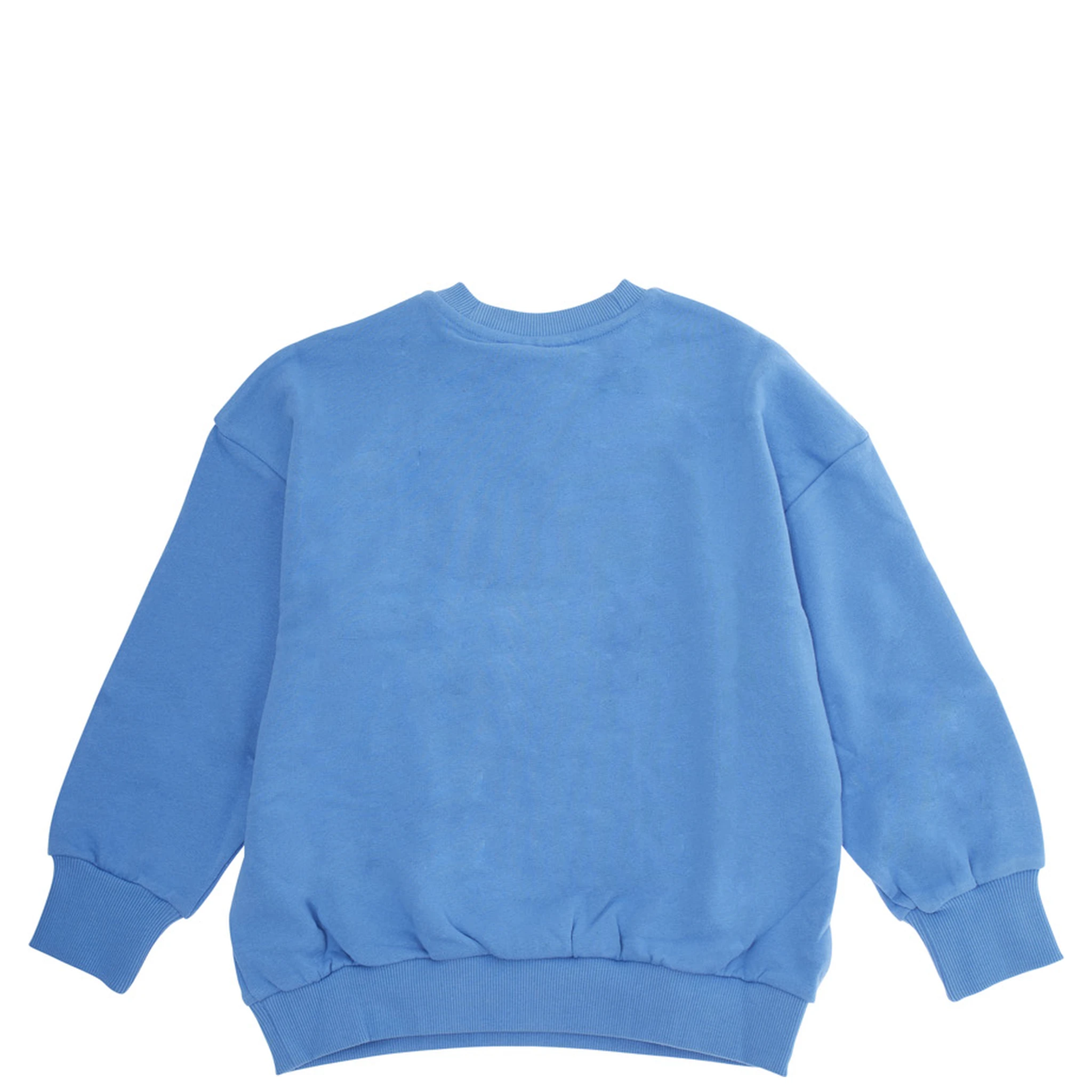 Light Blue Crewneck Sweatshirt with Print on the Front in Cotton Boy