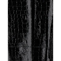 Black Coat with Front Button Closure and Embossed Crocodile Effect in Leather Woman