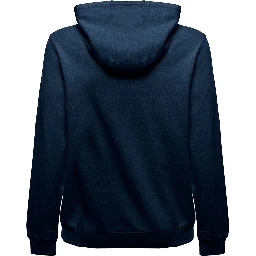 Gaudenzi Mans Blue Jersey Hoodie