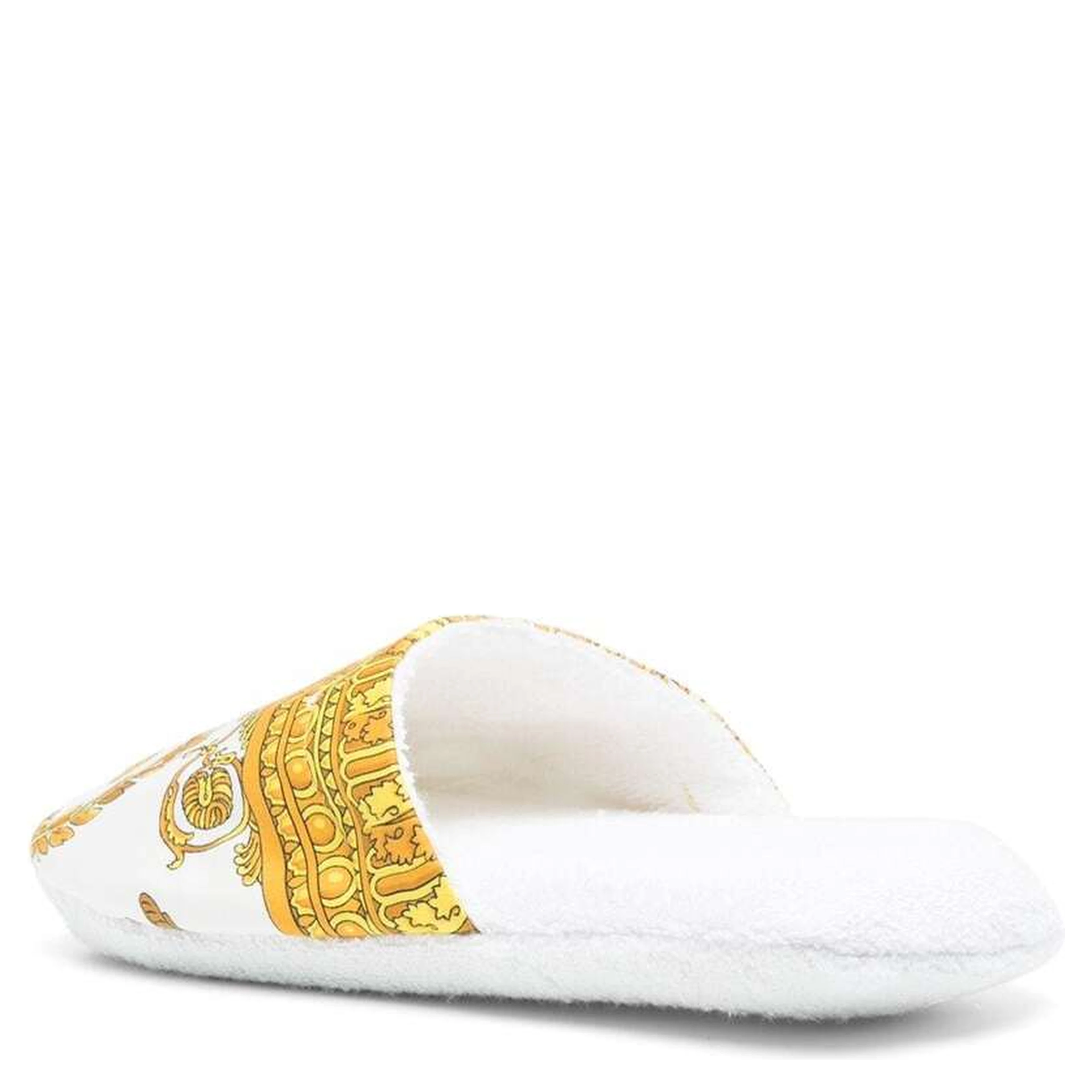 كلا الشريحتين