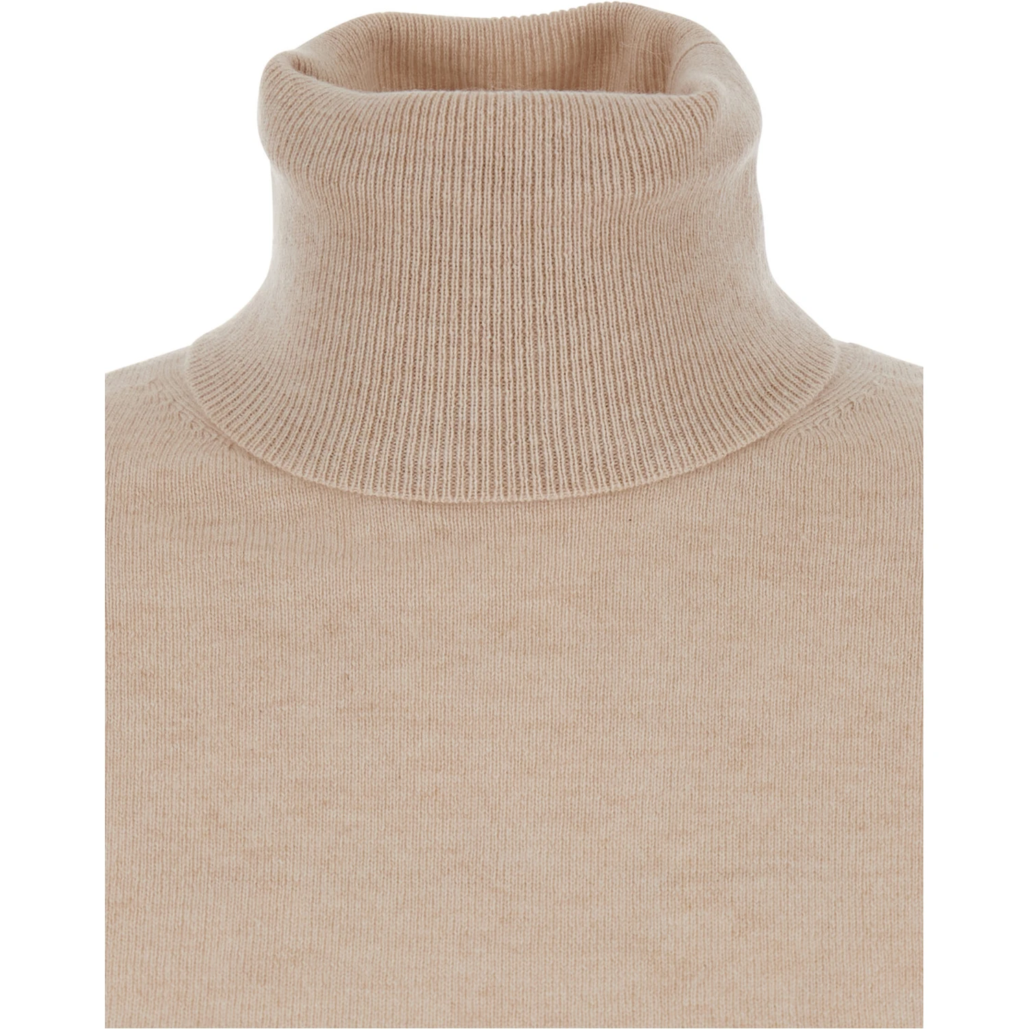 Educata Beige Sweater with Turtleneck in Wool Woman