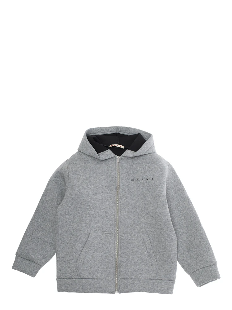 Grey Hoodie with Logo Lettering on the Front in Cotton Boy