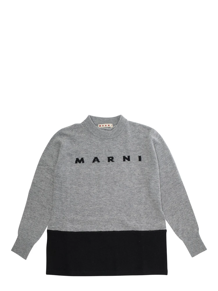 Grey Crewneck Sweatshirt with Logo Lettering on the Front in Cotton Boy