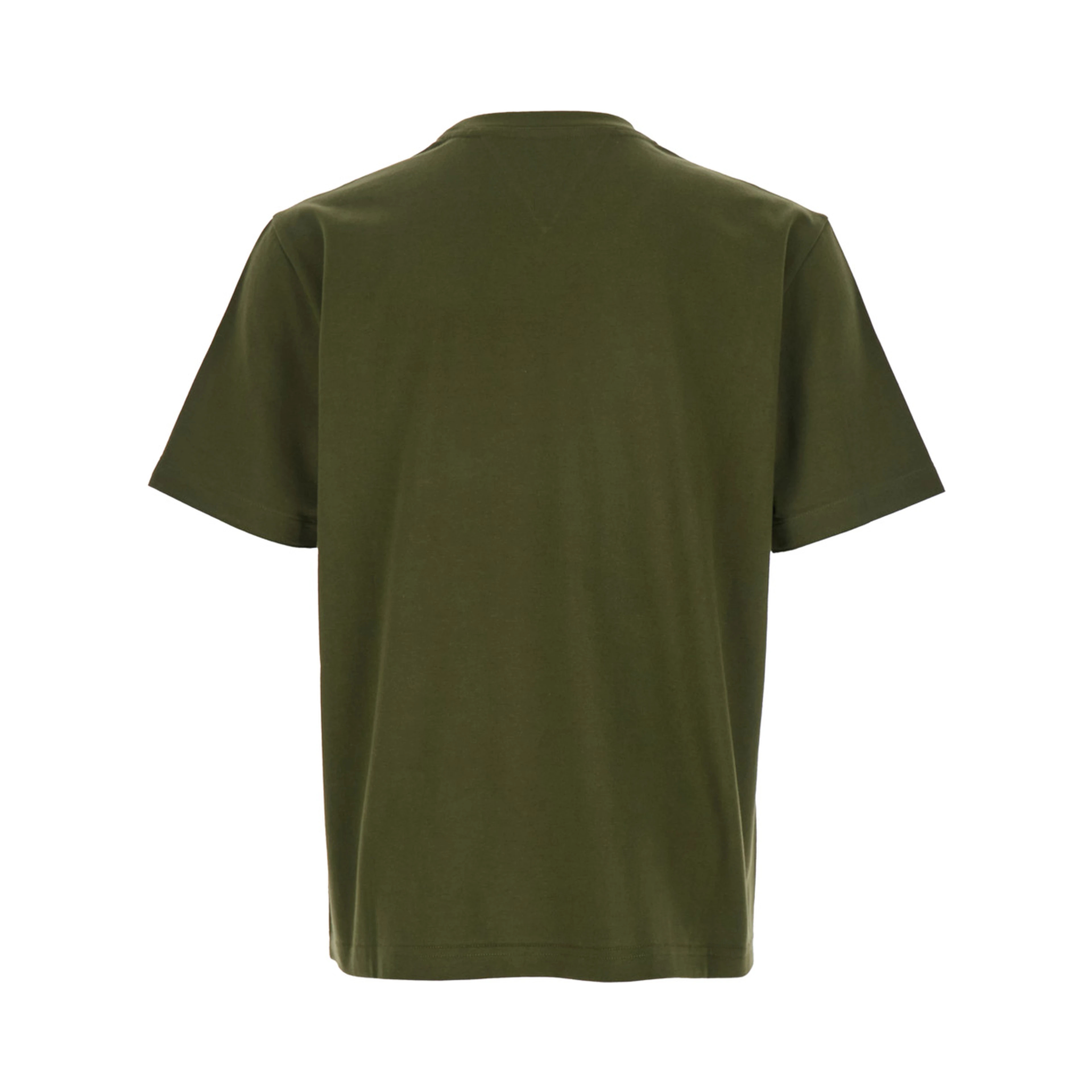 Green Crewneck T-Shirt with Mushroom Embroidery on the Front in Cotton Man