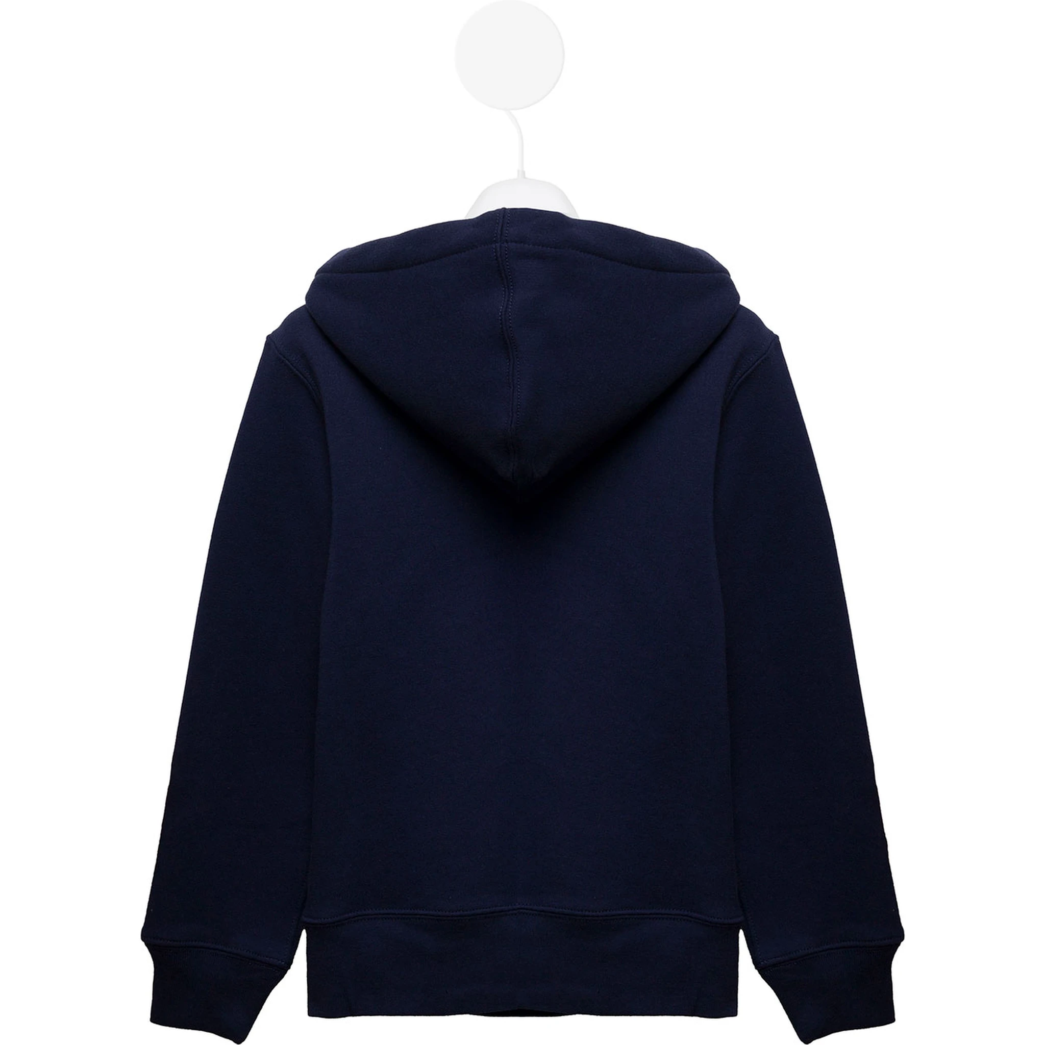 Blue Cotton Hoodie with Logo Polo Ralph Lauren Kids Boy