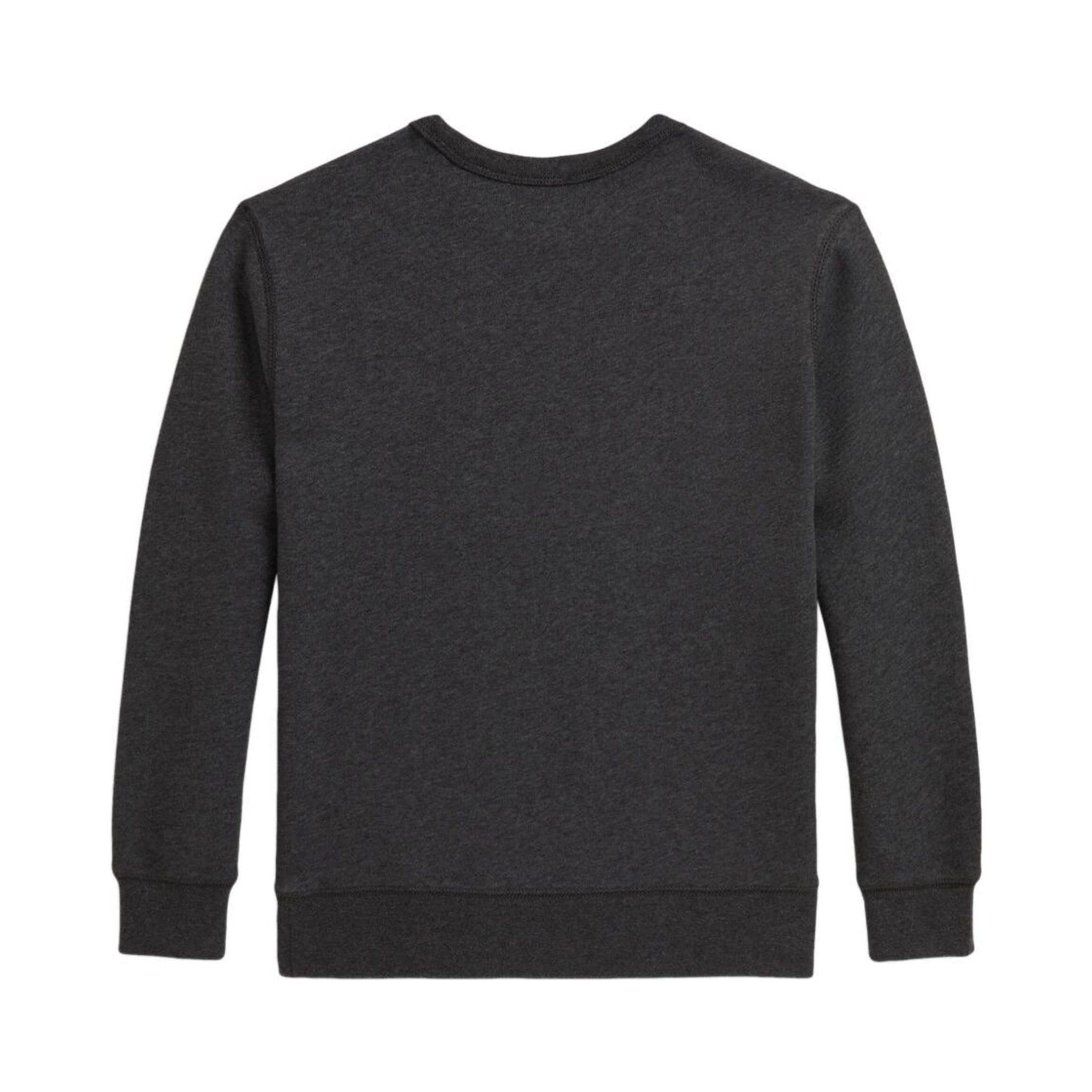 Grey Sweatshirt with Polo Bear Print on the Front in Cotton Boy