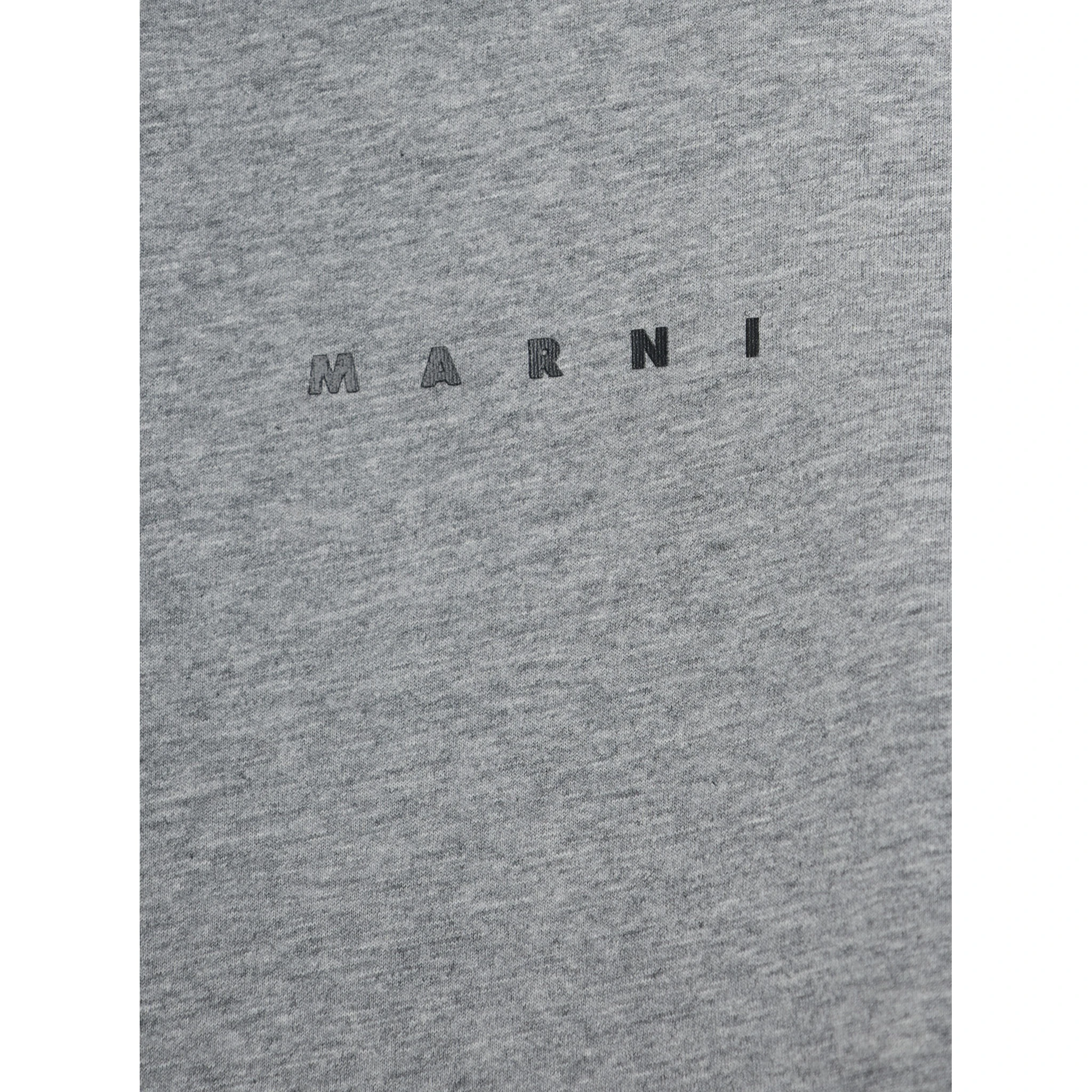 Grey Hoodie with Logo Lettering on the Front in Cotton Boy
