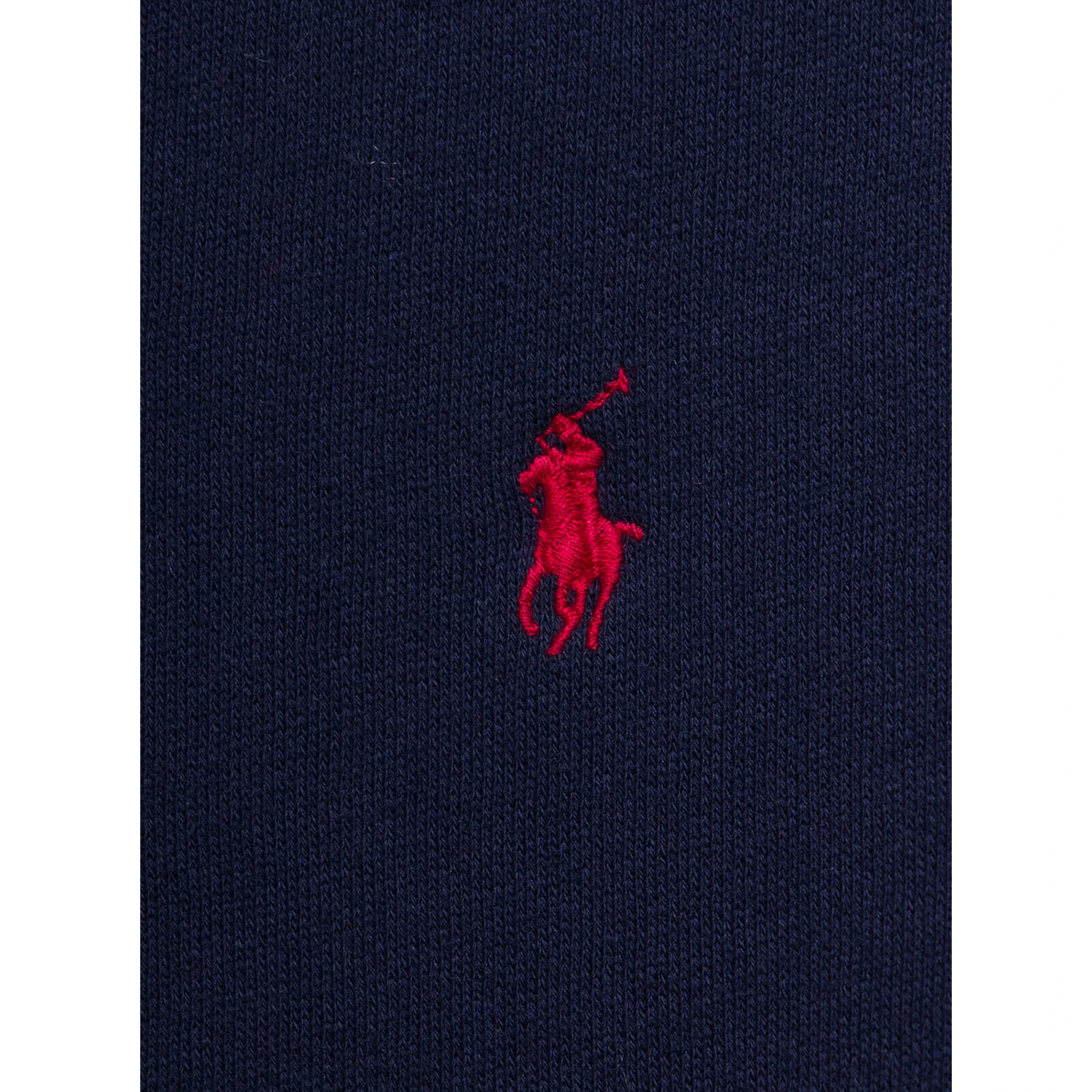 Blue Cotton Hoodie with Logo Polo Ralph Lauren Kids Boy