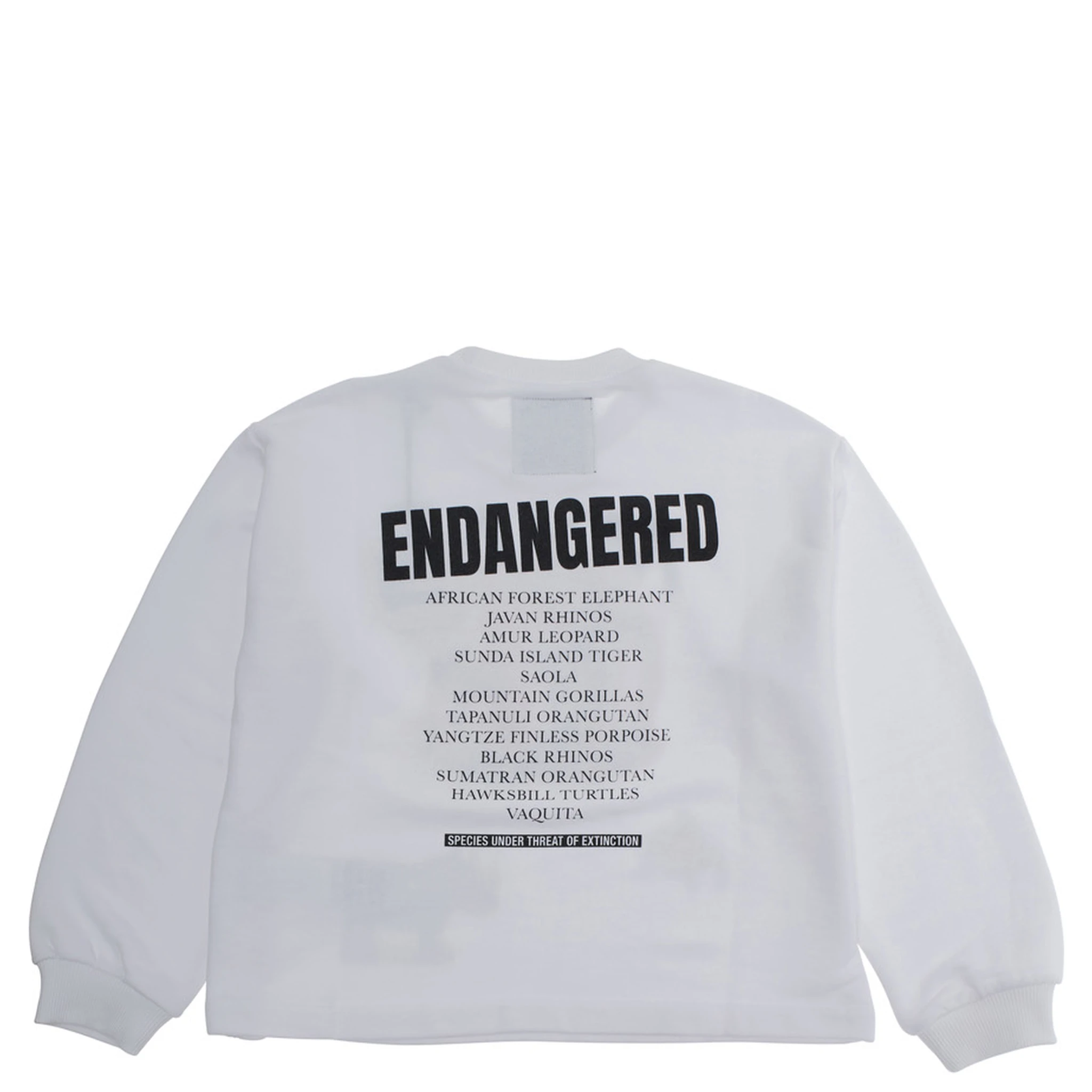 White Sweatshirt with Logo Print on Front and Rear in Cotton Boy