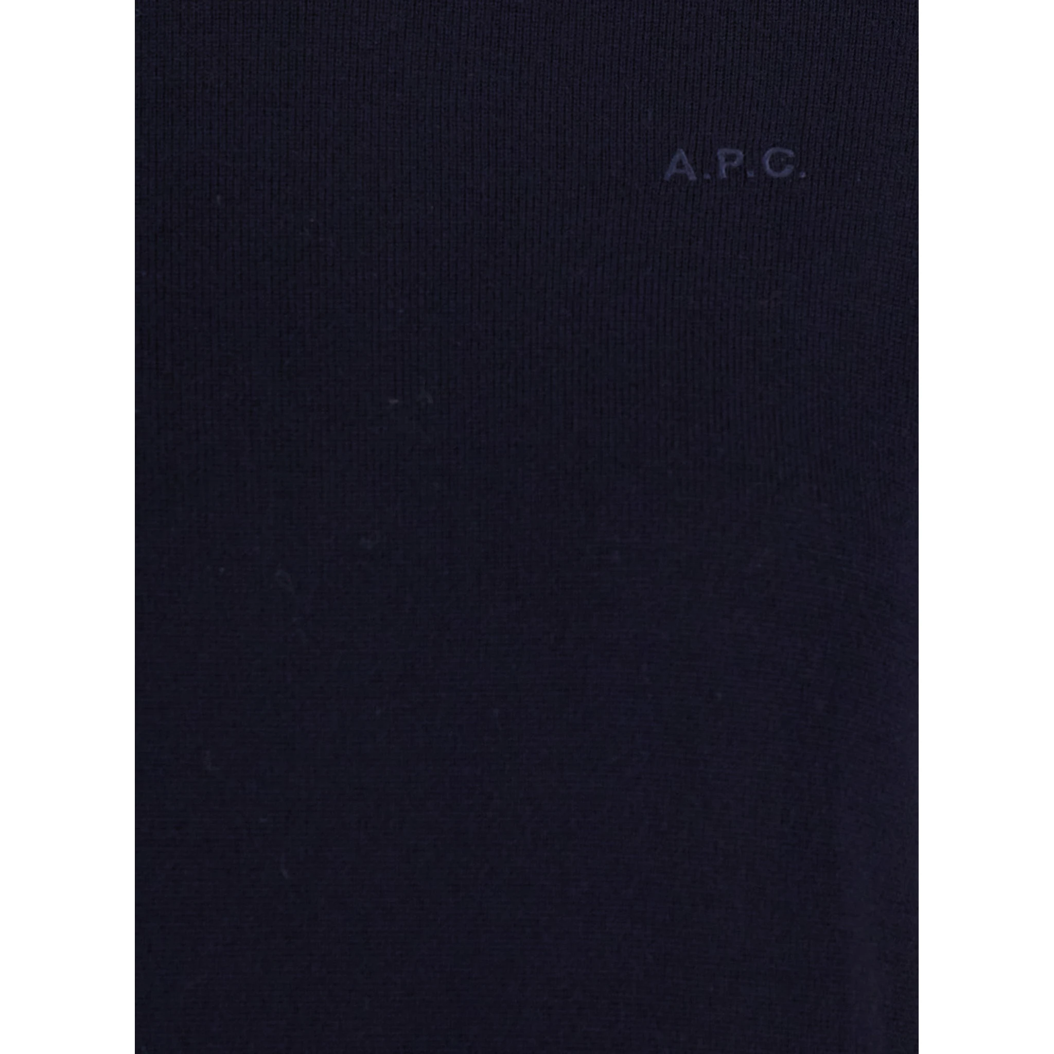 Blue High Neck Sweater with Logo Embroidery in Wool Woman