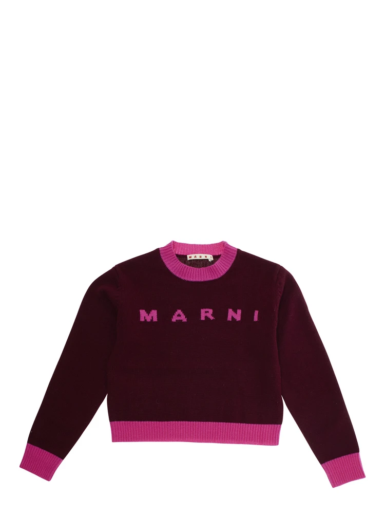 Fuchsia Crewneck Sweater with Logo Lettering on the Front and Contrasting Trims in Wool and Cashmere Woman