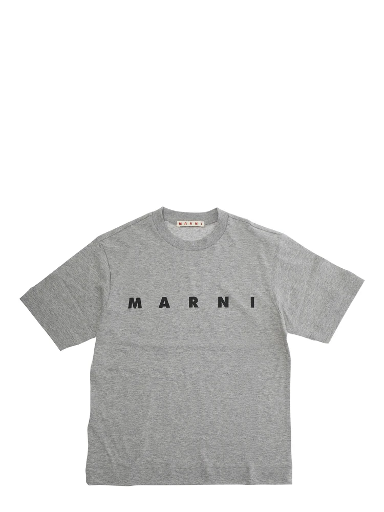 Grey Crewneck T-Shirt with Logo Lettering on the Front in Cotton Boy