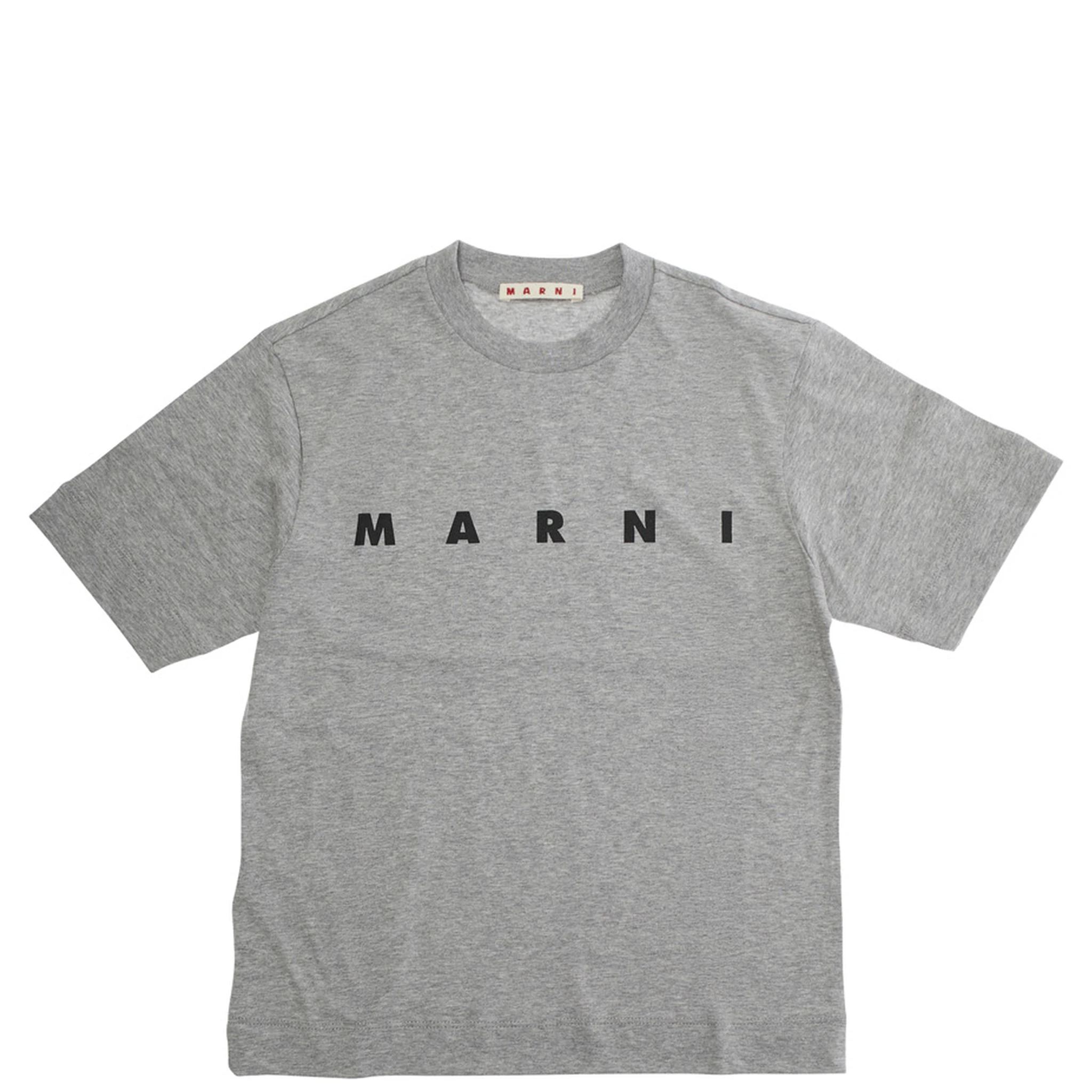 Grey Crewneck T-Shirt with Logo Lettering on the Front in Cotton Boy
