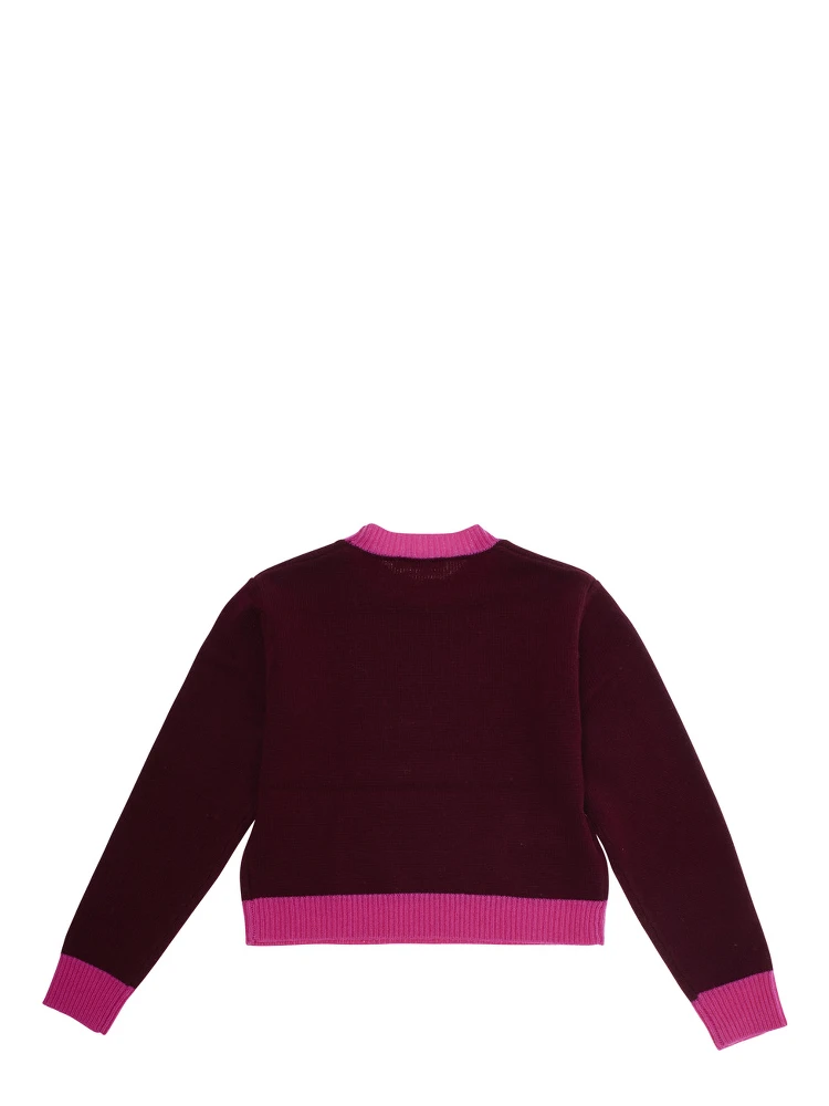 Fuchsia Crewneck Sweater with Logo Lettering on the Front and Contrasting Trims in Wool and Cashmere Woman alternative
