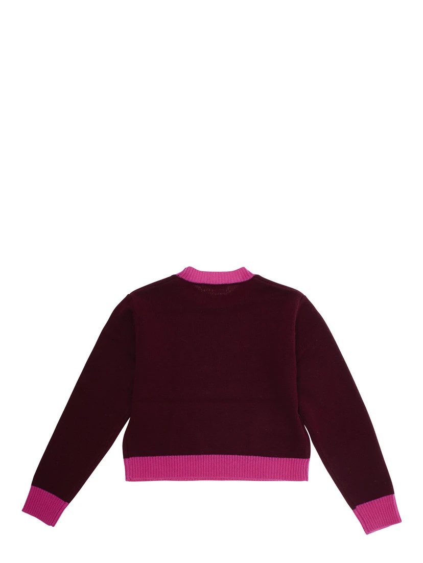 Fuchsia Crewneck Sweater with Logo Lettering on the Front and Contrasting Trims in Wool and Cashmere Woman