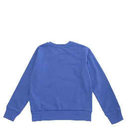 Blue Sweatshirt with Pony Embroidery on the Front in Cotton Boy
