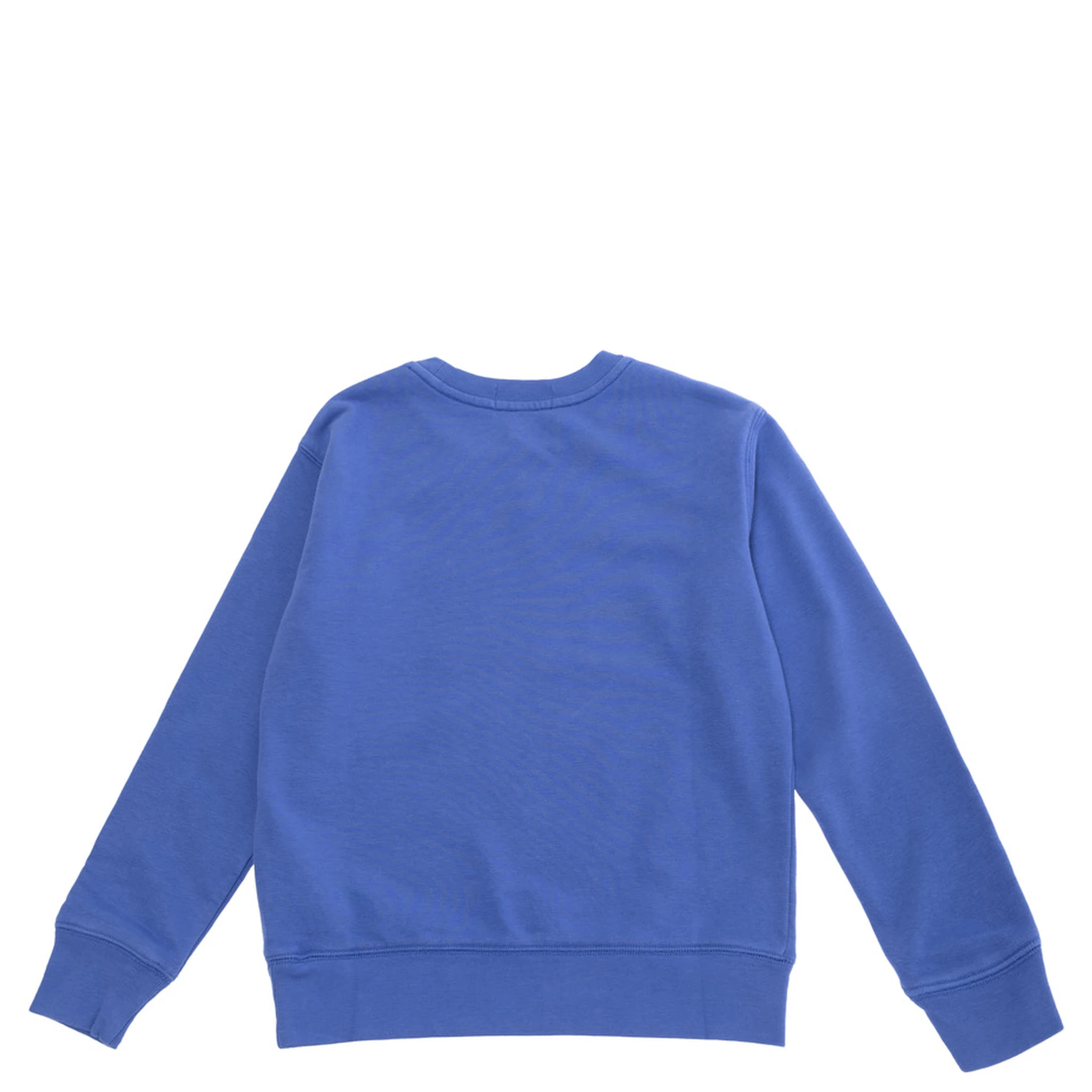 Blue Sweatshirt with Pony Embroidery on the Front in Cotton Boy
