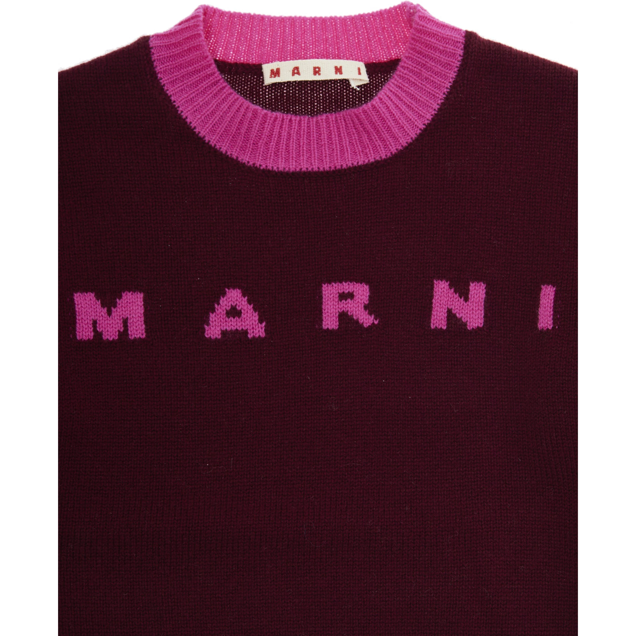 Fuchsia Crewneck Sweater with Logo Lettering on the Front and Contrasting Trims in Wool and Cashmere Woman