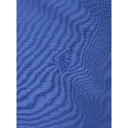 Blue Sweatshirt with Pony Embroidery on the Front in Cotton Boy