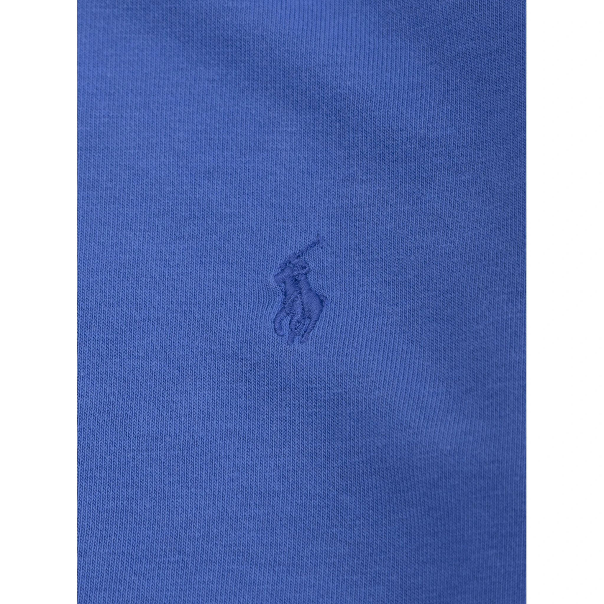 Blue Sweatshirt with Pony Embroidery on the Front in Cotton Boy