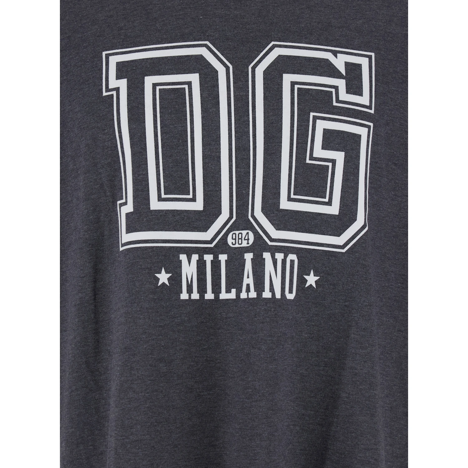 Grey Crewneck T-Shirt with Logo Print on the Front in Cotton Man