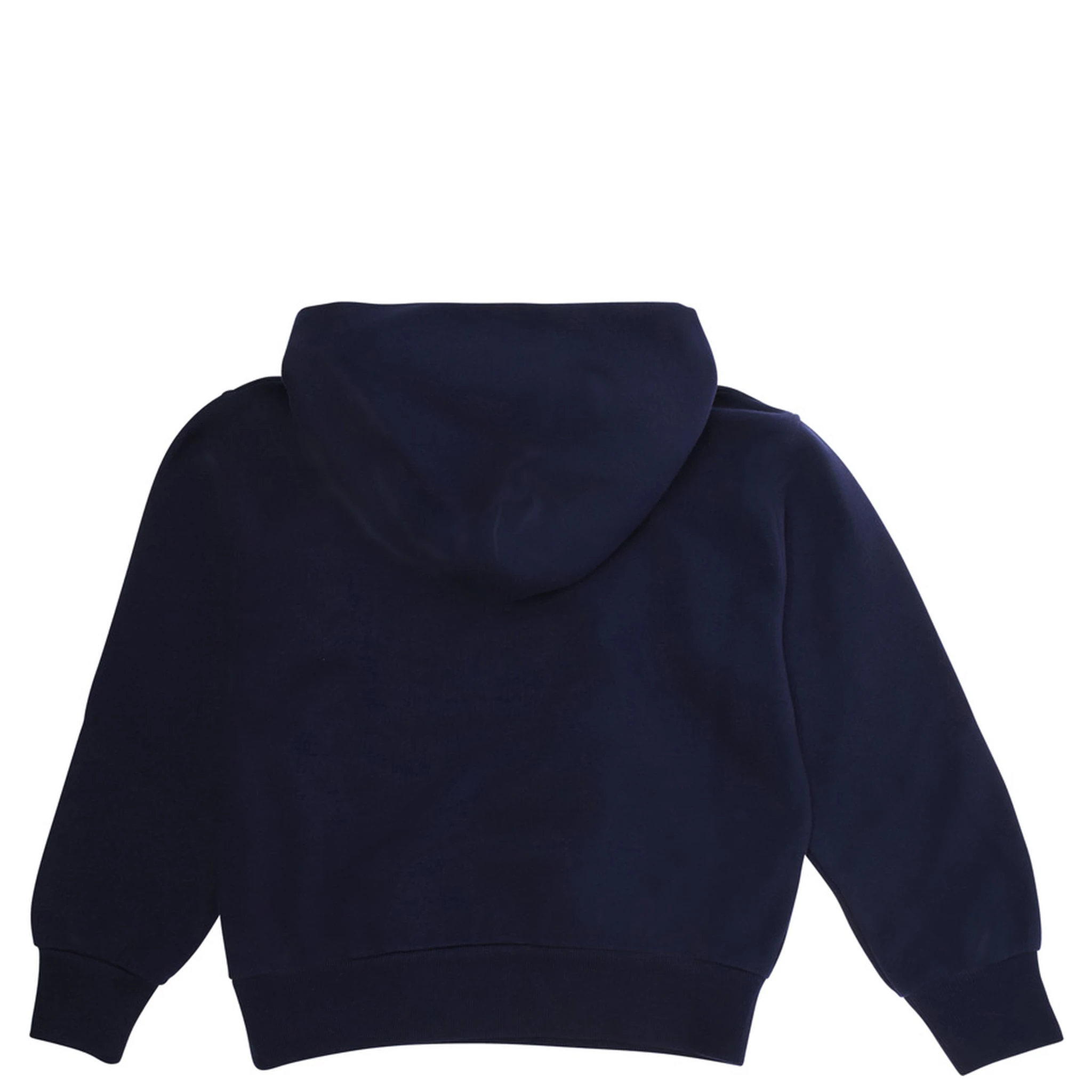 Blue Sweatshirt with Web Detail on the Front in Cotton Boy