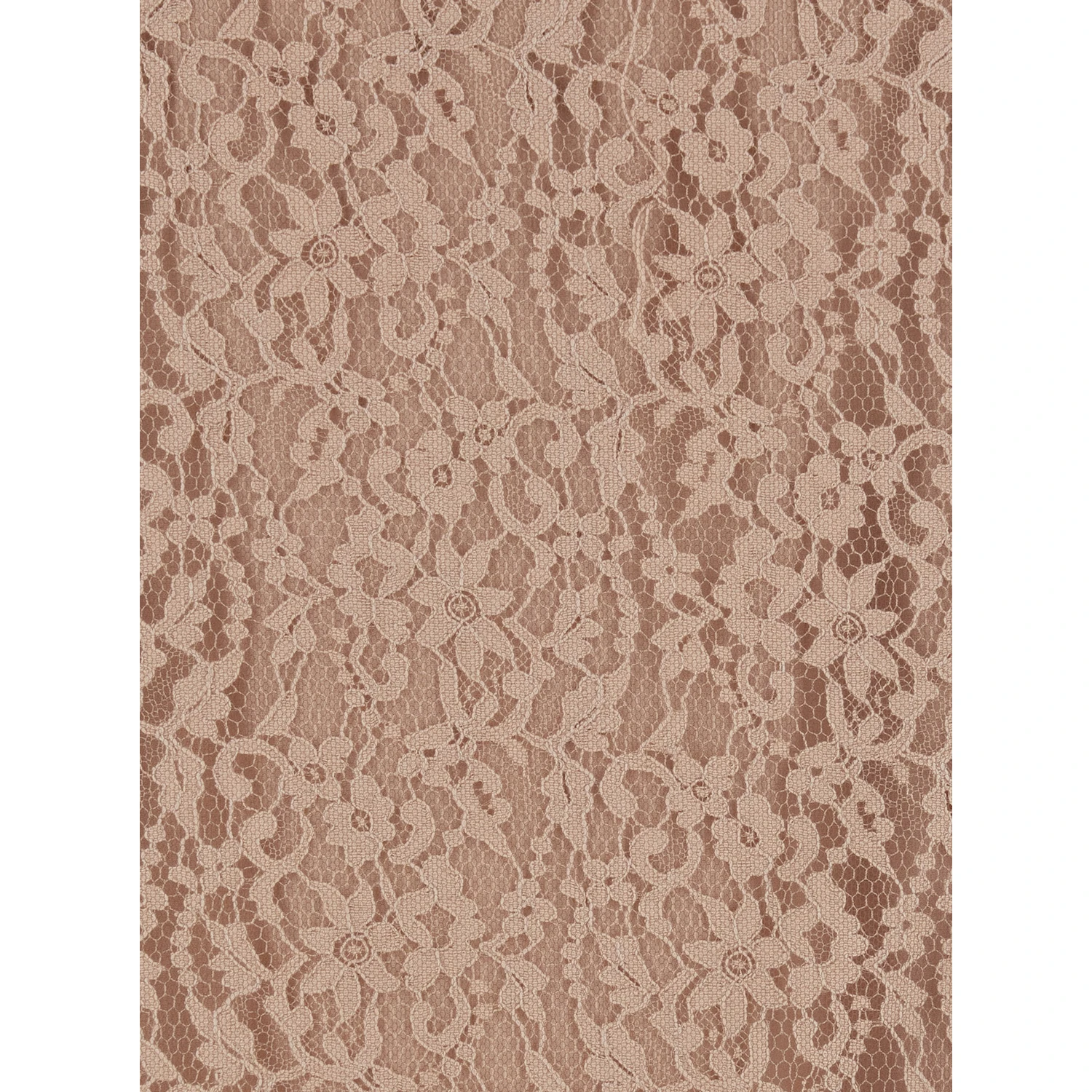 Beige Tube Skirt with All-Over Floral Embroidery in Lace Woman