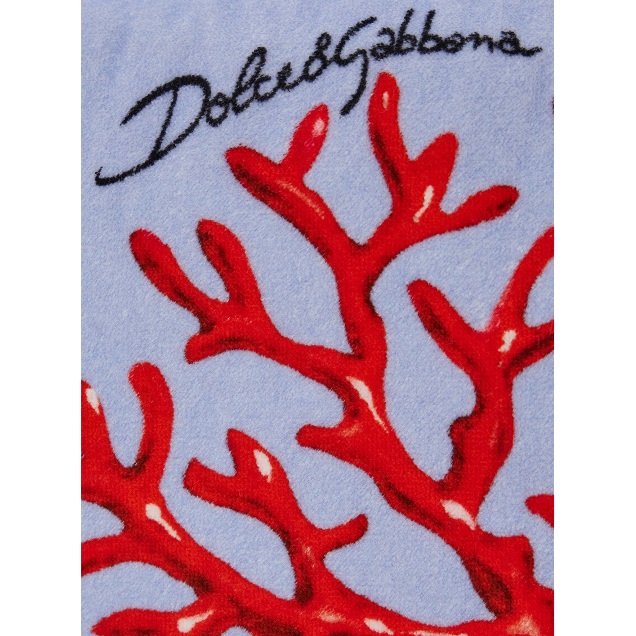 Light Blue Beach Towel with All-Over Print in Cotton Home