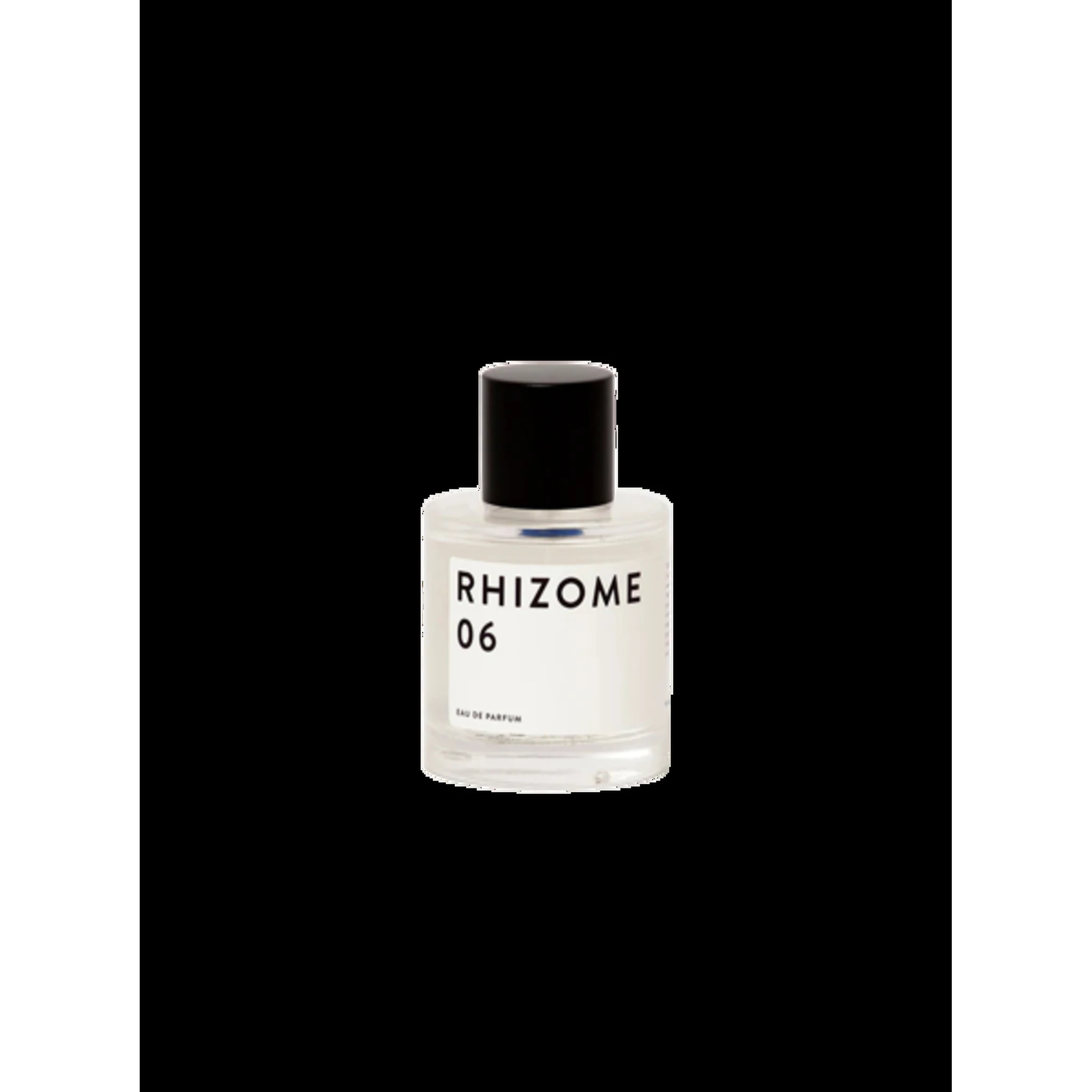 Rhizome 06- 100 ml