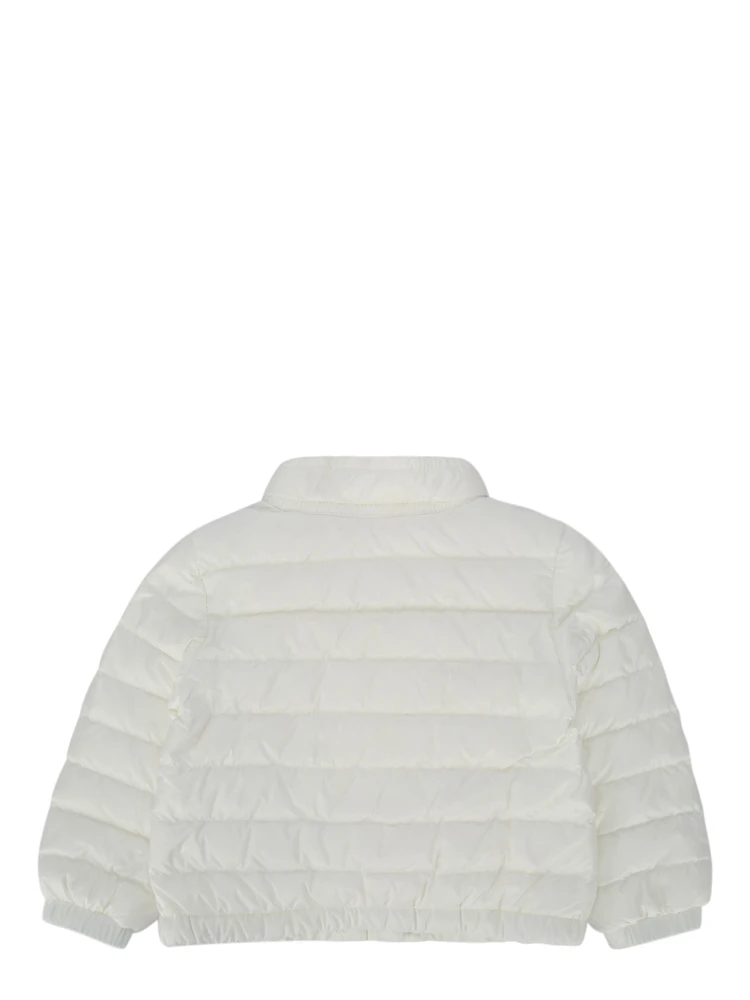 1A00023597YF 034 alternative