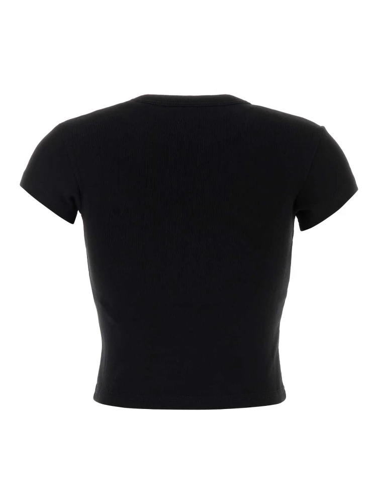 1CC1261209 001 alternative