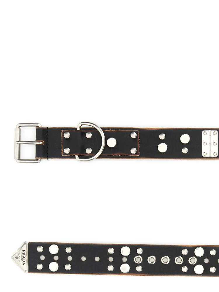 الأحزمة alternative