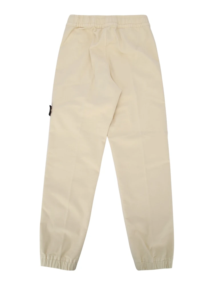 310000602 V0093 alternative