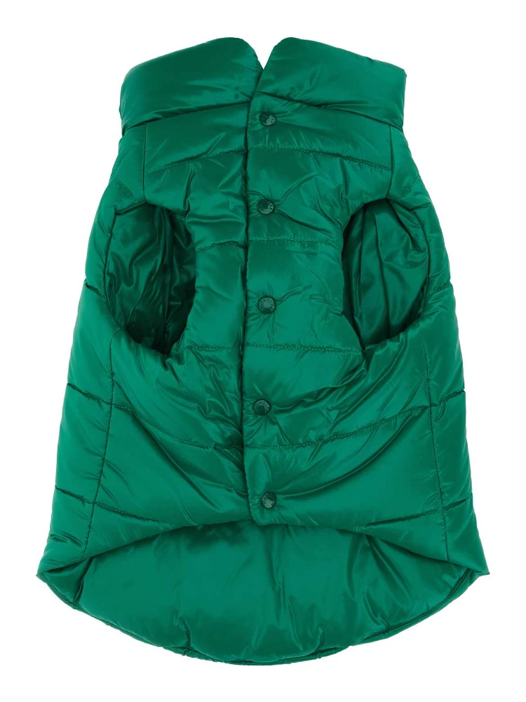 DOG VEST alternative