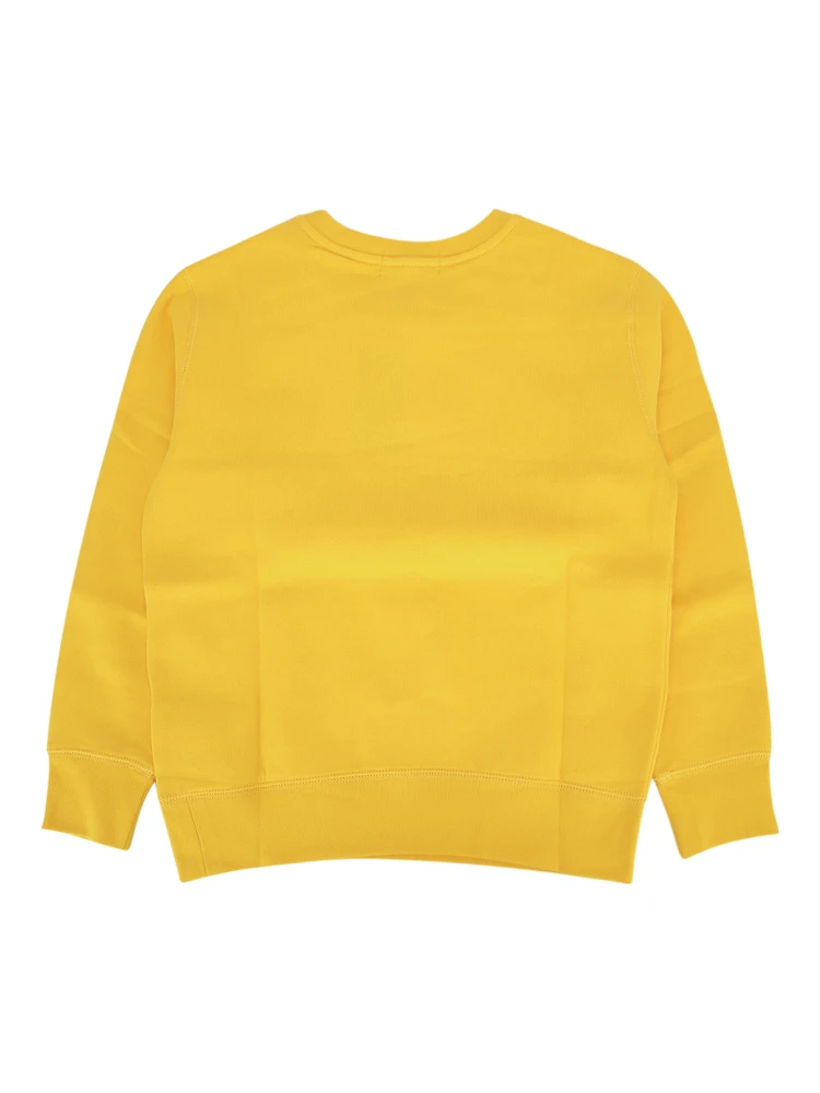 323799359 041 alternative