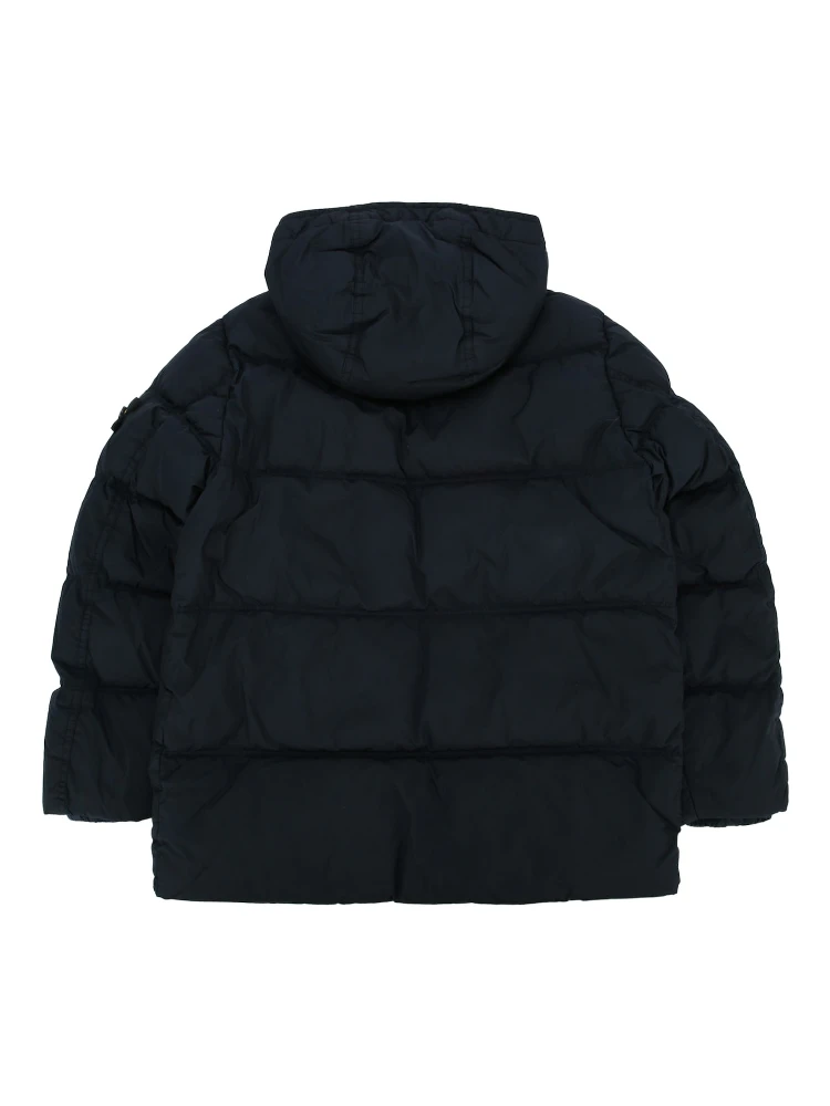 410000423 V0020 alternative