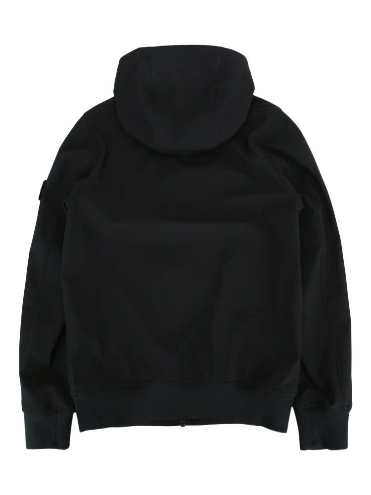 410000222 V0029 alternative