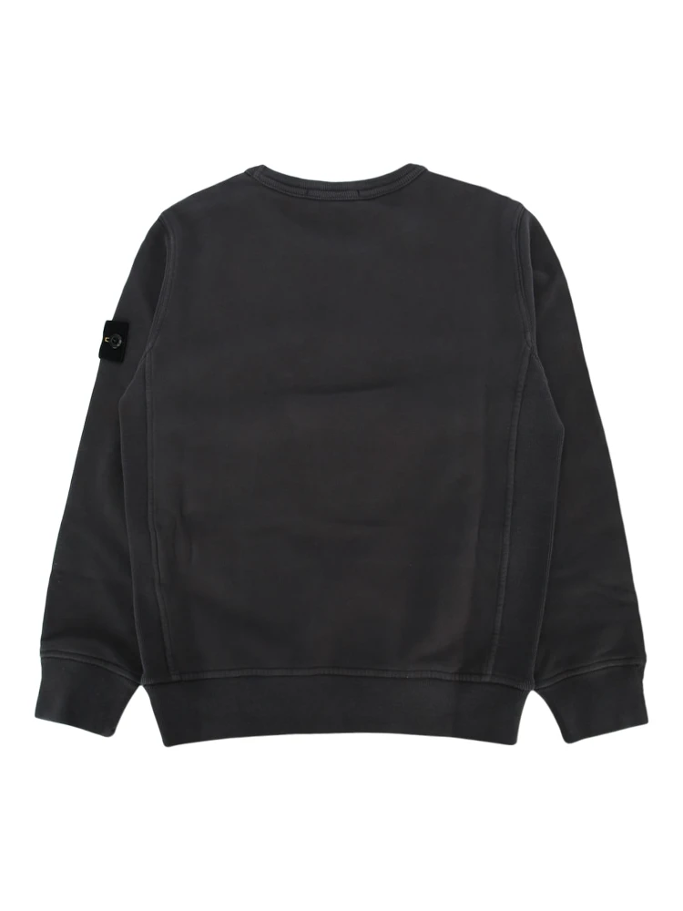 610000120 V0065 alternative