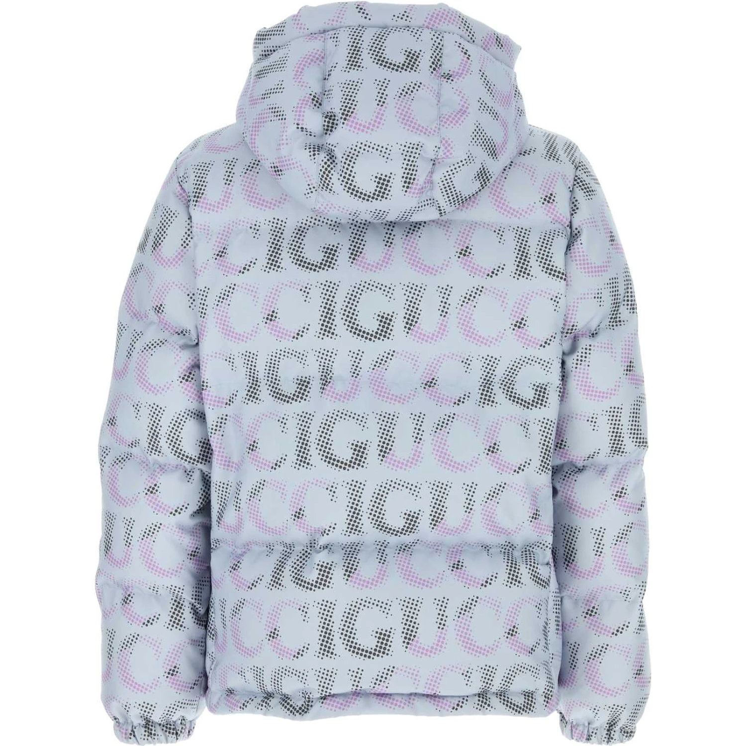 SPW DOWN JACKET
