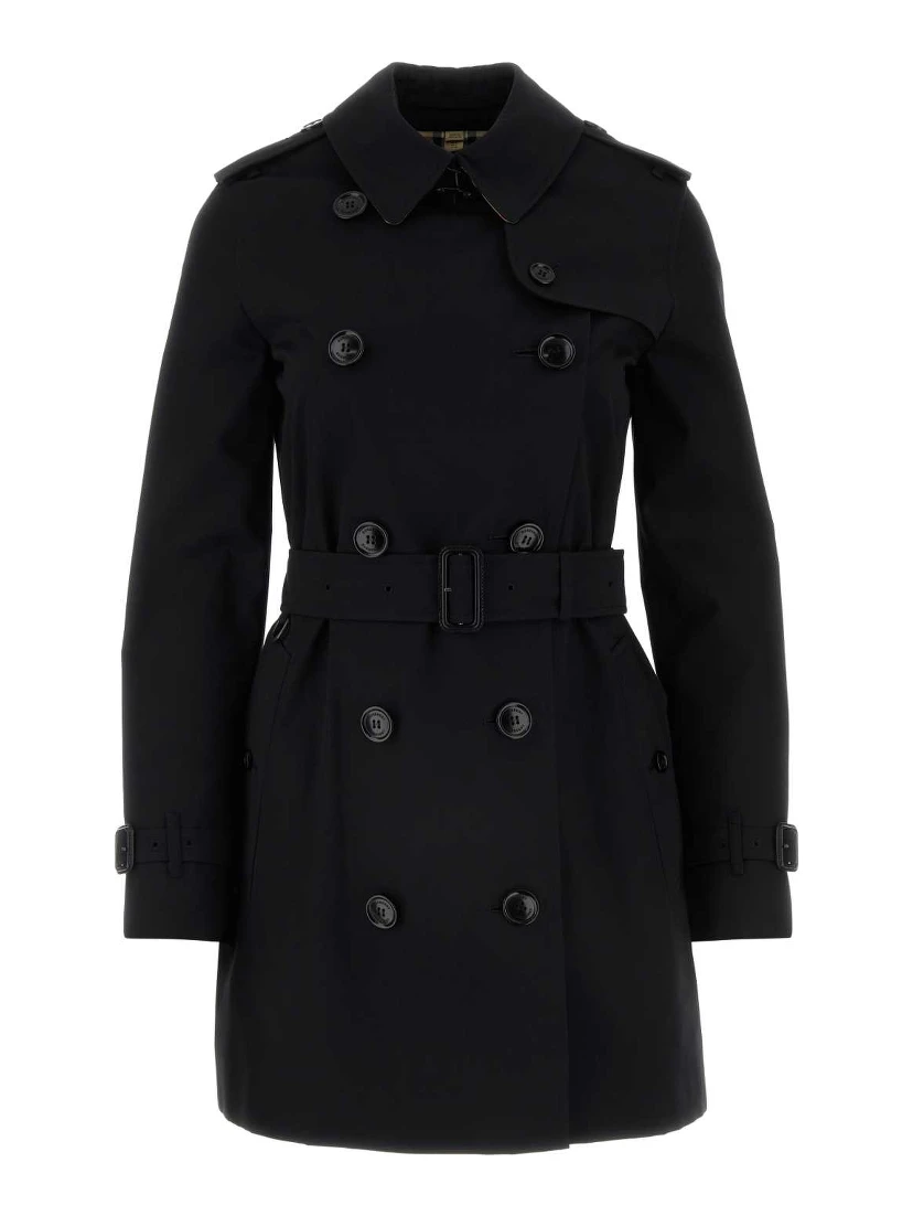 KENSINGTON SHT ORG 2