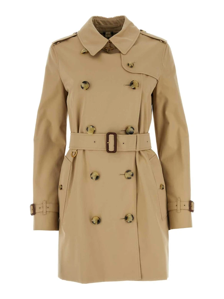 KENSINGTON SHT ORG 2