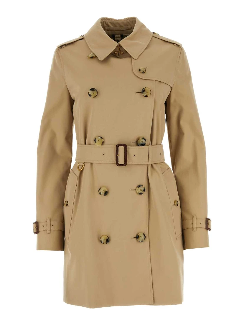 KENSINGTON SHT ORG 2