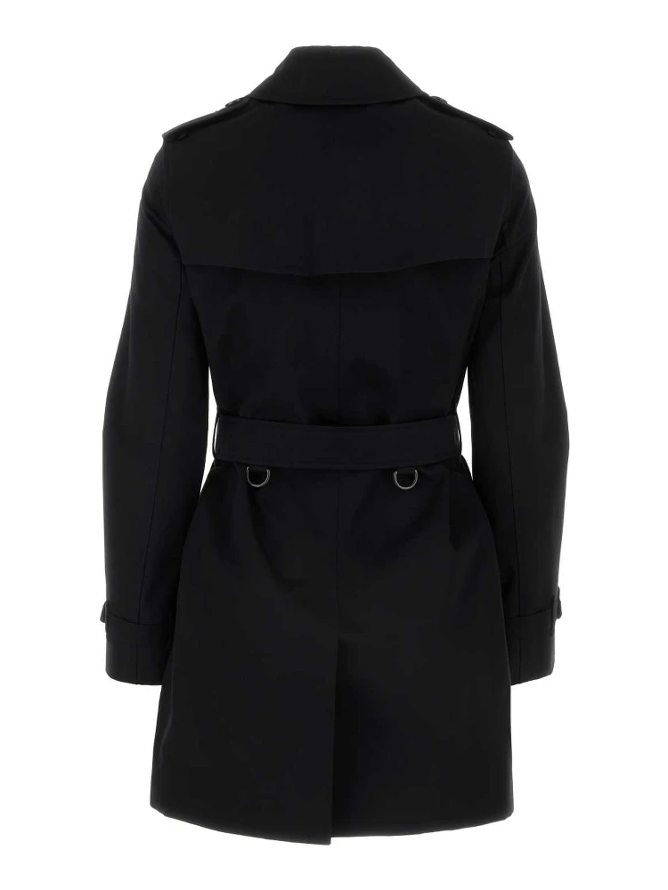 KENSINGTON SHT ORG 2 alternative