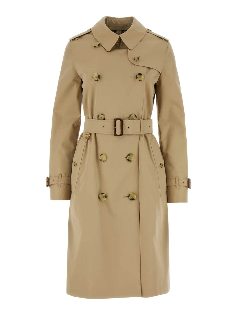 KENSINGTON LNG ORG 2