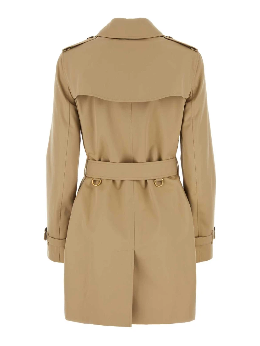 KENSINGTON SHT ORG 2